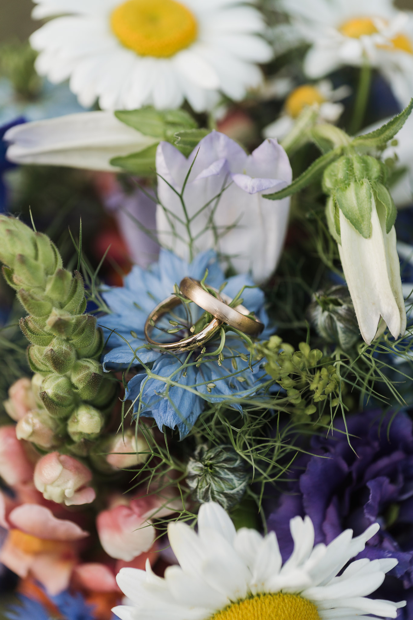 Hochzeit Framhouse Wandlitz, Freie Trauung, Hochzeitsfotografin Berlin, Emotionale ;Momente, Authentische Hochzeitsfotografie, Brautpaarshooting, Detailbild, Ringe, Eheringe